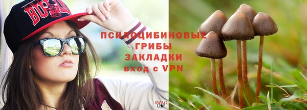 МДМА Елизово
