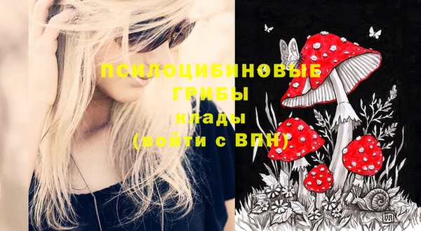 ешки Ельня