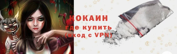 амф Дмитриев