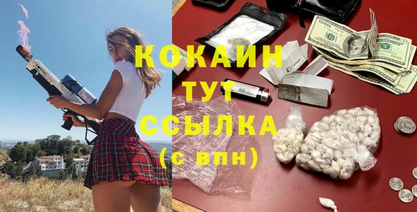 амф Дмитриев