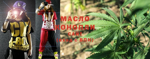 амф Дмитриев