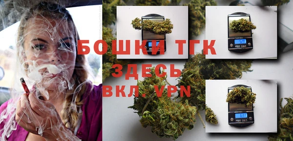 ешки Ельня