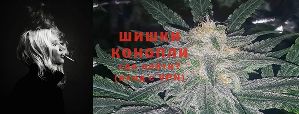 сатива Струнино