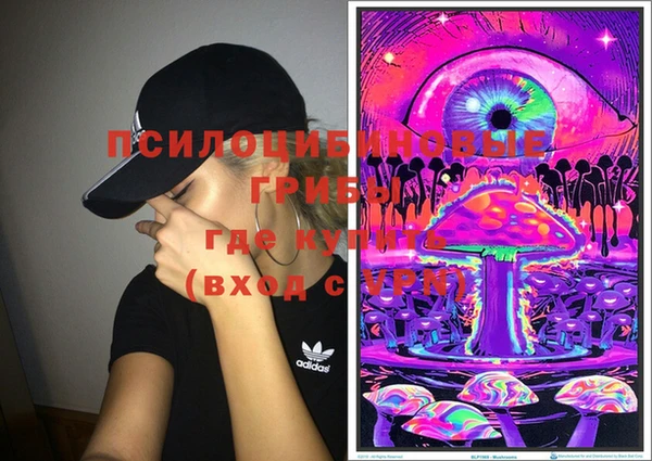 МДМА Елизово