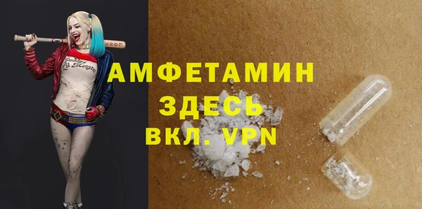 сатива Струнино