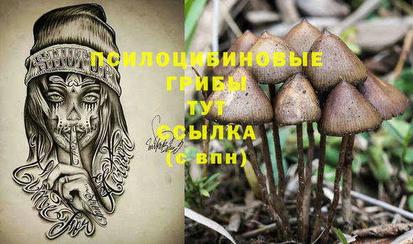 МДМА Елизово
